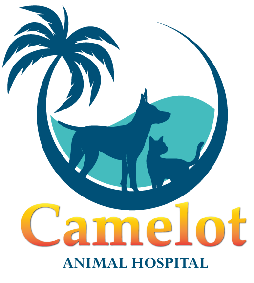 Camelot Animal Hosptial logo